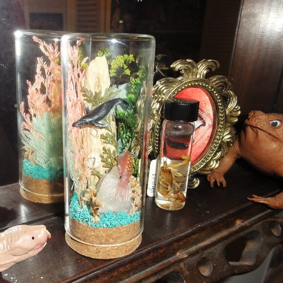 Humpback Whale & Squid Ocean Themed Oddity Jar curiosity dome crystal sea life - Picture 11 of 15